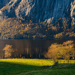 Haukalivannet